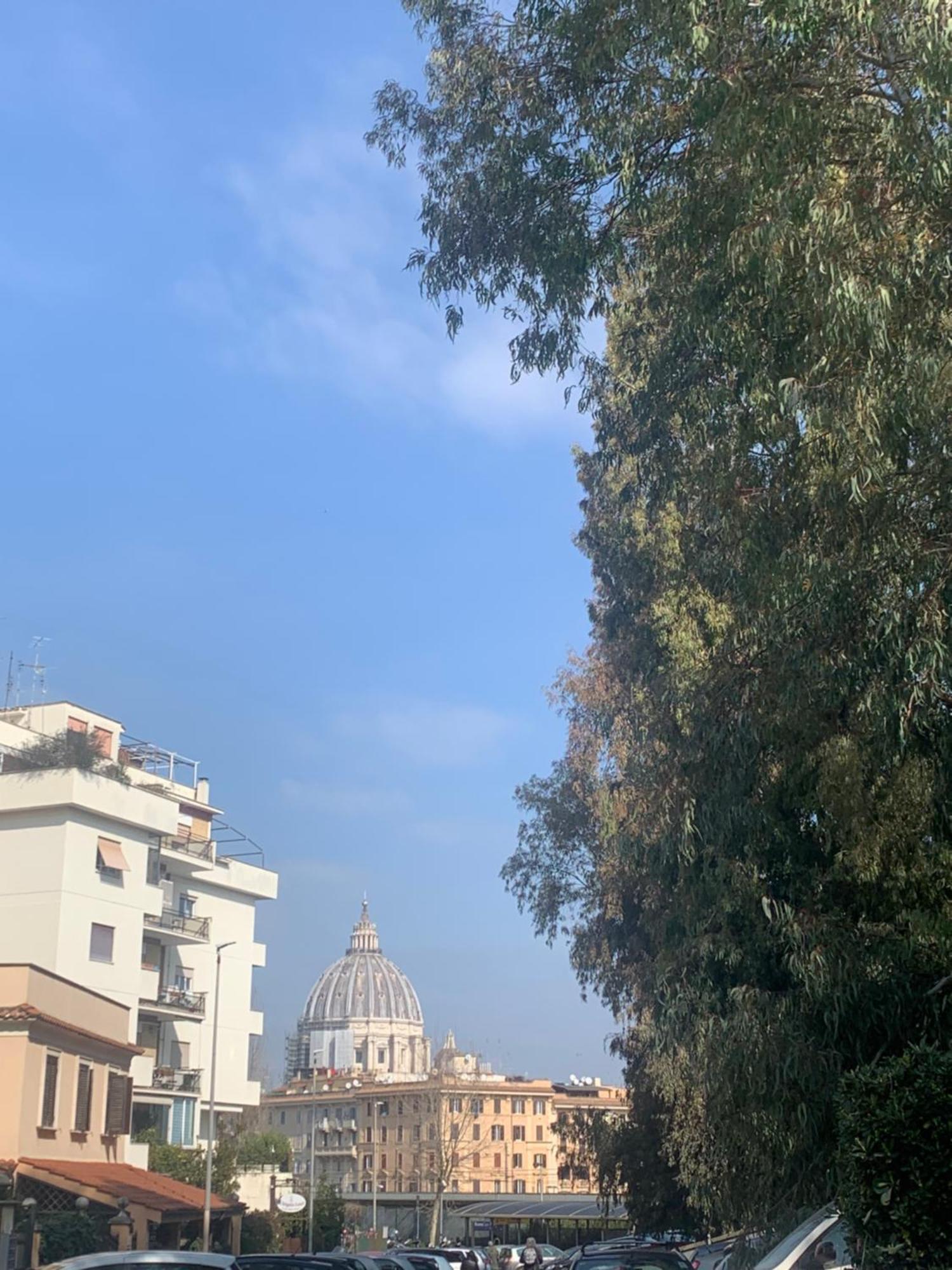 Vatican Flat Rom